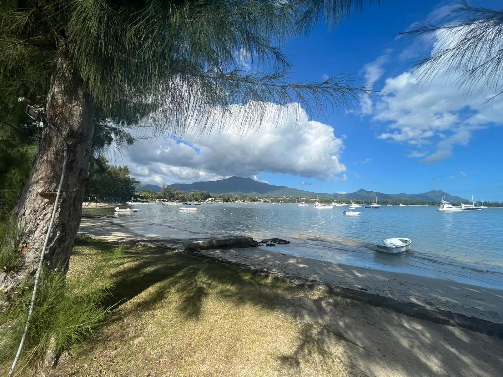 Olana Blue - Beachfront Apartment Rivière Noire エクステリア 写真